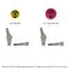 Nt-trading Straumann Bone Level® Angled Abutment 18° angled over edge GH 3,0 mm incl. Screw-0