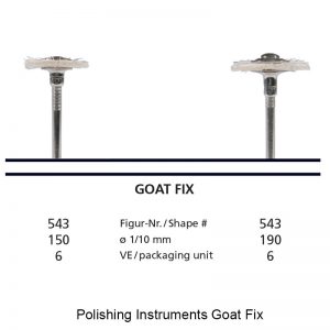 Polishing Instruments Goat Fix-0