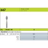 Jota 667-0