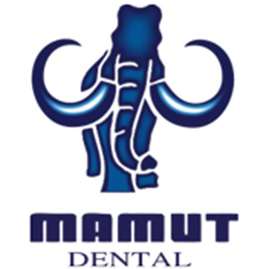 Mamut Cerec in lab (Sirona)-0